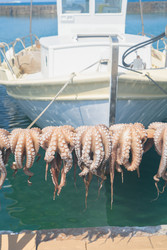 Similar image 22165280