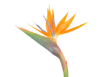 Similar image 22165323