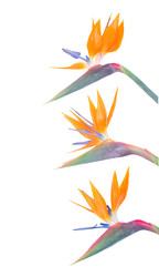 Similar image 22165324