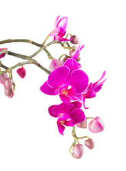 Similar image 22165326