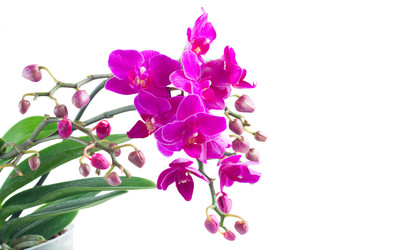 Similar image 22165327