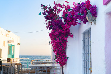 Similar image 22165341