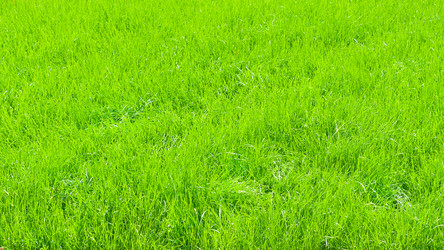 Similar image 22165731