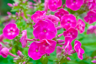 Similar image 22165736