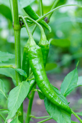 Similar image 22165740