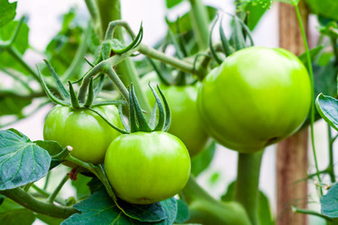 Similar image 22165742