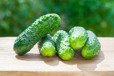 Similar image 22165744