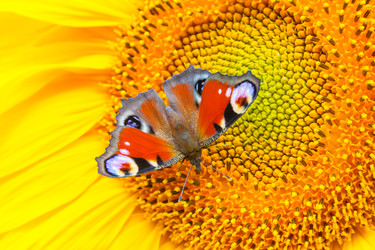 Similar image 22165758