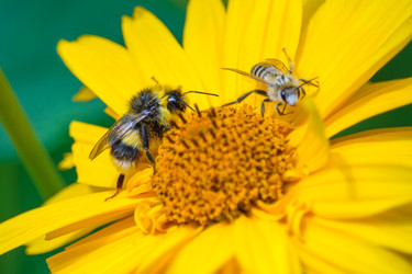 Similar image 22165767