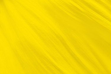 Similar image 22165770