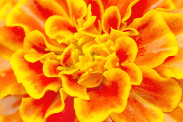 Similar image 22165771