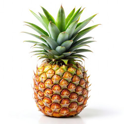 Similar image 22166864