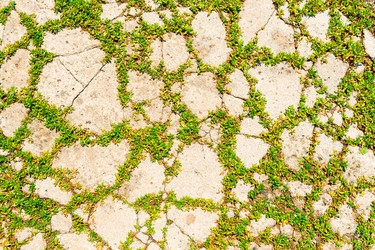 Similar image 22162076