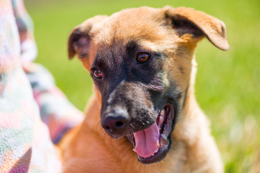 Similar image 22162095