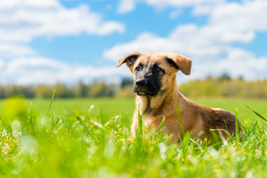 Similar image 22162103