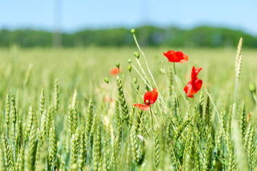 Similar image 22162104