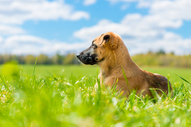 Similar image 22162106