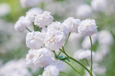 Similar image 22165780