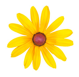 Similar image 22165784