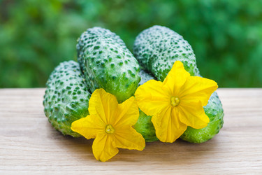 Similar image 22165792