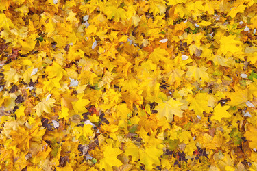 Similar image 22165793