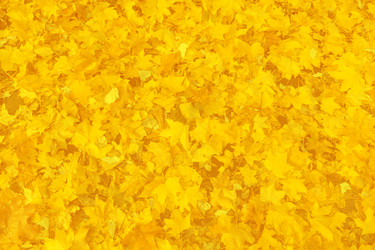 Similar image 22165794