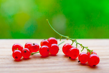 Similar image 22165795