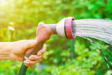 Similar image 22165812