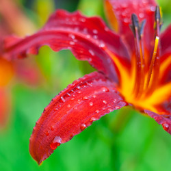 Similar image 22165817