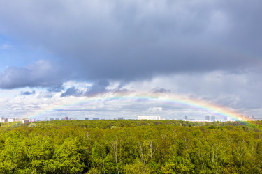 Similar image 22164884