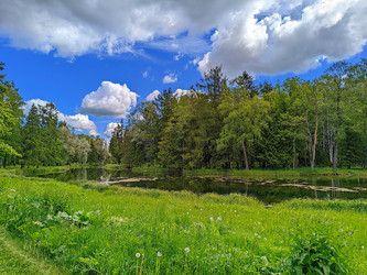 Similar image 22163977