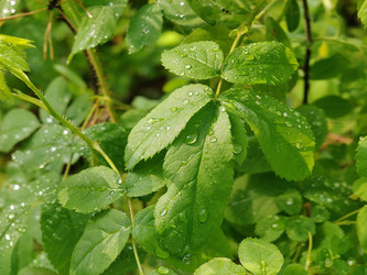 Similar image 22163987