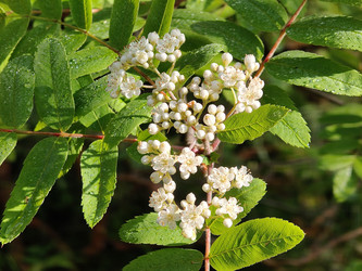 Similar image 22163988