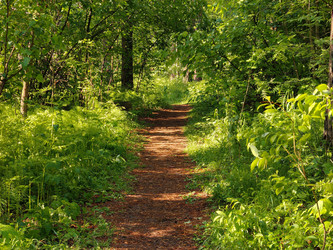 Similar image 22163989