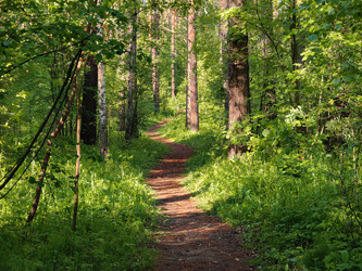 Similar image 22163991