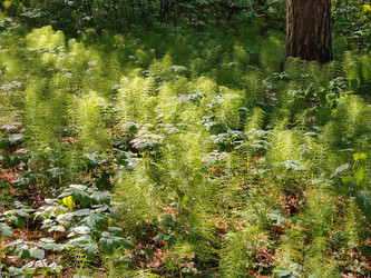 Similar image 22165822