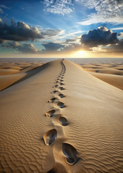 Similar image 22166472