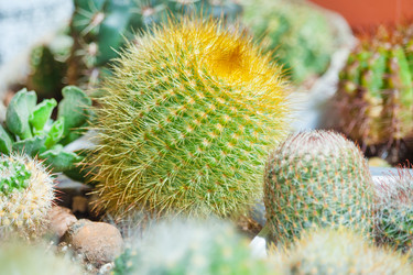 Similar image 22165445