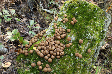 Similar image 22163992