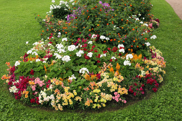 Similar image 22163993