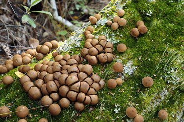 Similar image 22163994