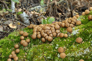 Similar image 22163995