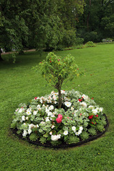 Similar image 22163998