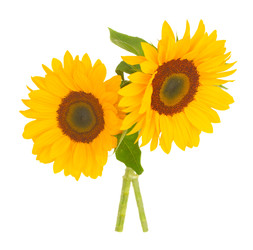 Similar image 22165467