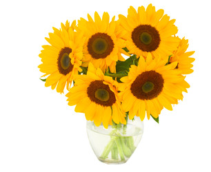 Similar image 22165471