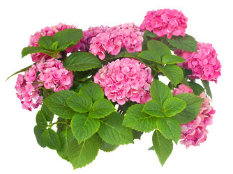 Similar image 22165472