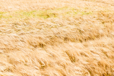 Similar image 22162173