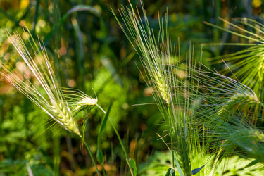 Similar image 22162185