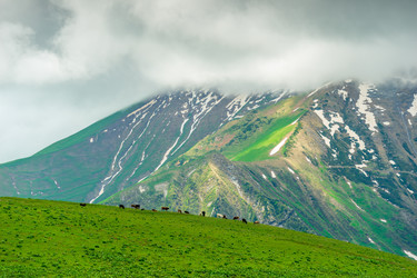 Similar image 22162204