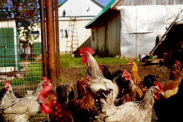 Similar image 22165976